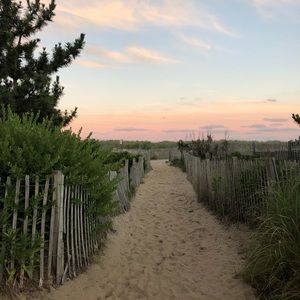 Meet your Posher, Aliza